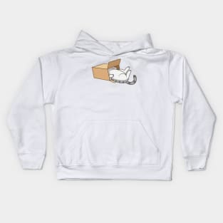 Cat in the box Kids Hoodie